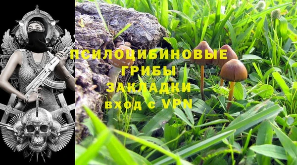 Альфа ПВП Зерноград