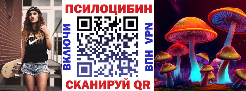 Псилоцибиновые грибы Cubensis  дарк нет как зайти  OMG как войти  Каменногорск  наркотики 